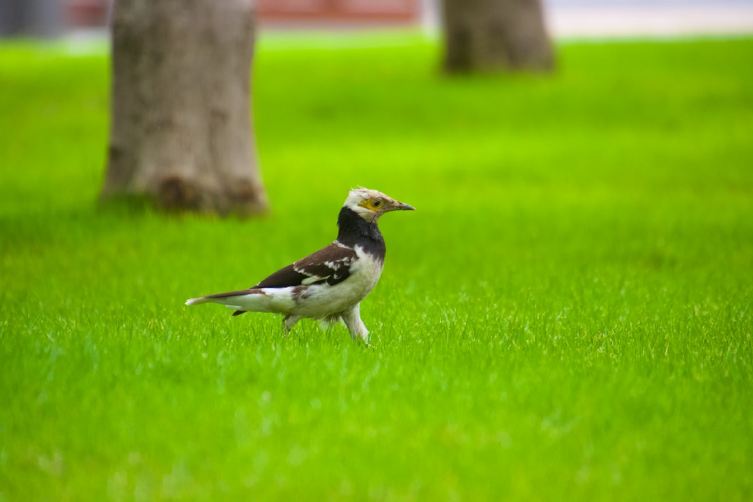 Efektifitas Senam Dismenore terhadap Penanganan Nyeri Haid Primer pada Remaja Image