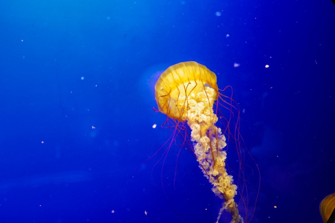 Digestion of High Fiber Diet in Sheep and Goat of Jenepponto Image