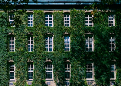 Kesantunan Berbahasa dalam Komentar Caption Instagram Image