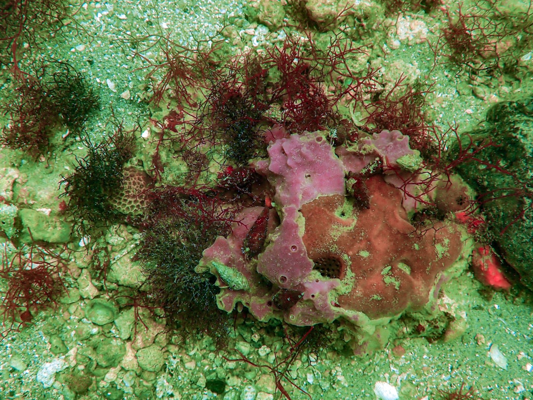 Strategi Pemasaran Dalam Meningkatkan Volume Penjualan (Studi Pada S\u002Dmart Swalayan Pasir Pengaraian) Image