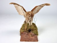 Study on the Effect of Baking Process on the Quality Characteristics, Moisture Distribution and Sensory Evaluation of Bran, Duck and Pork Emulsification Sausage Image