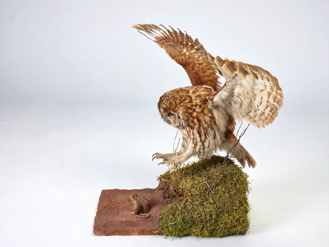 Analisis Faktor\u002DFaktor Yang Mempengaruhi Produksi Padi Di Provinsi Jawa Timur Menggunakan Regresi Semiparametrik Spline Image