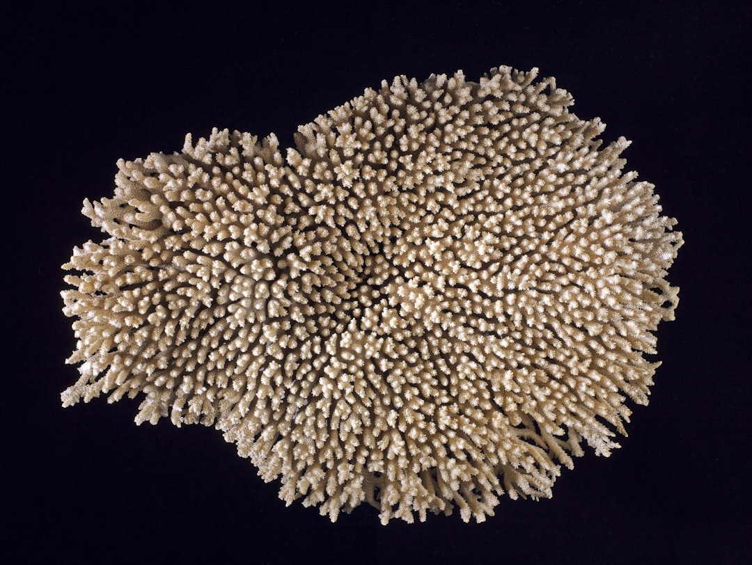 Kebutuhan Vaksinasi Ulang Tetanus pada Wanita Usia Subur di YOGYAKARTA Image