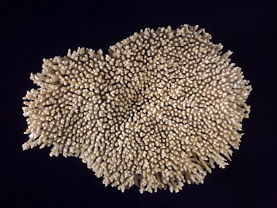 Penyelesaian Sengketa Konsumen terhadap Kasus Susu Kemasan (Studi Kasus Sengketa antara PT Ultrajaya Milk Industry \u0026 Trading Company Tbk. Melawan Rini Tresna Sari) Image