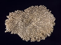 Penyelesaian Sengketa Konsumen terhadap Kasus Susu Kemasan (Studi Kasus Sengketa antara PT Ultrajaya Milk Industry \u0026 Trading Company Tbk. Melawan Rini Tresna Sari) Image