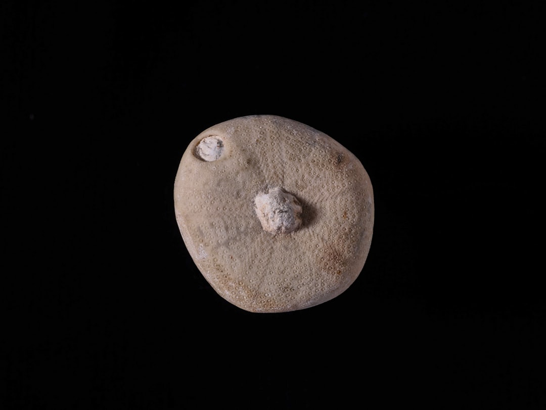 Perencanaan Gedung Park And Ride di Stasiun Jurang Mangu, Kecamatan Ciputat, Kota Tanggerang Selatan, Banten Image