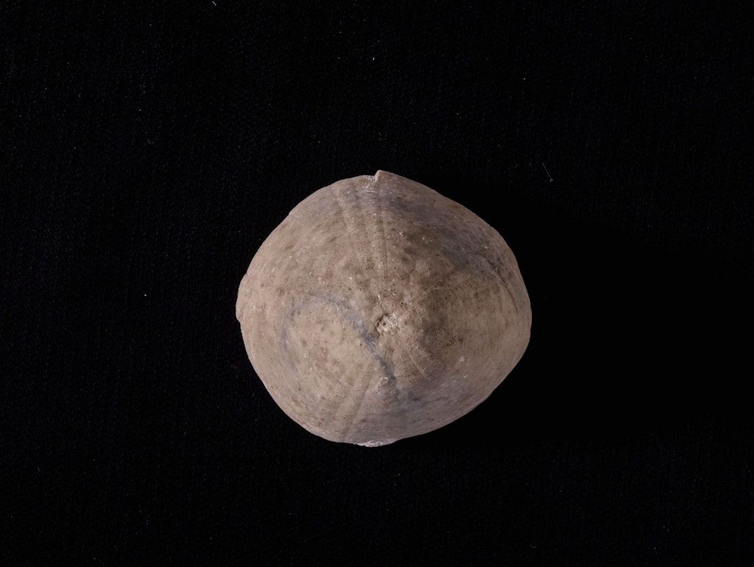 Cara Penulisan Laporan Penelitian Image