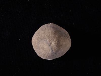 The Main Differences Between Teaching Approaches, Methods, Procedures, Techniques, Styles And Strategies Image