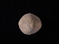 Cara Penulisan Laporan Penelitian Image