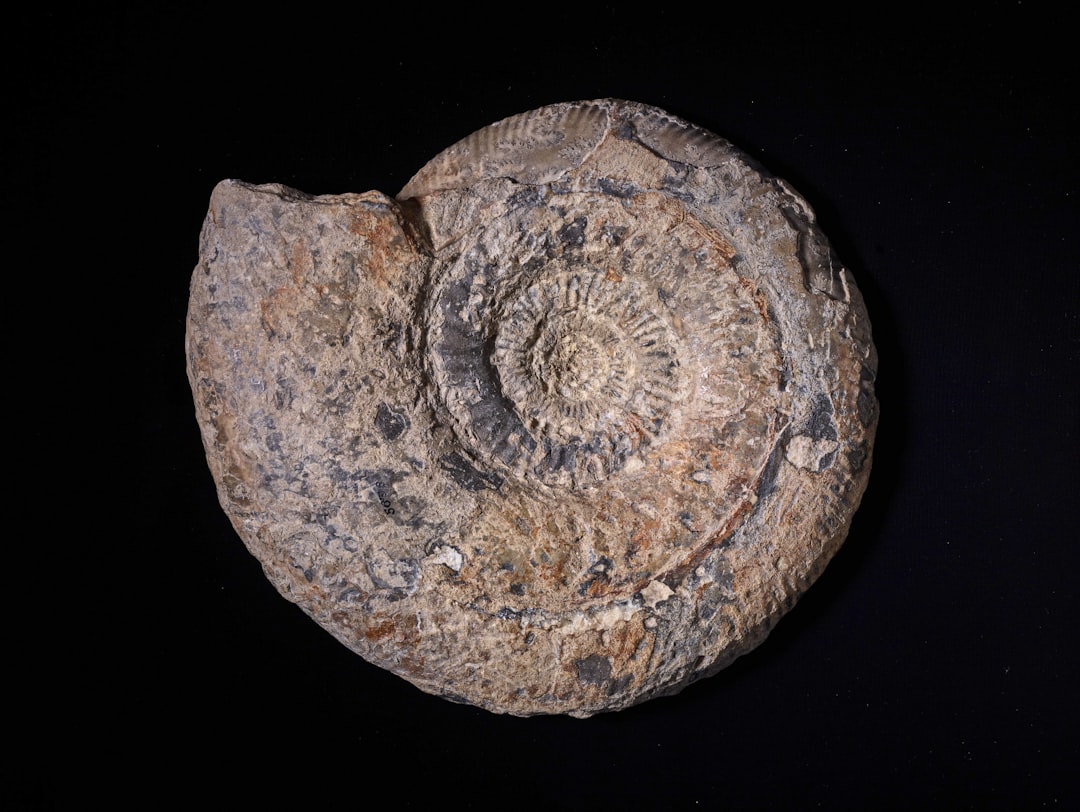 Nilai Karies Gigi Anak Kelas 1 dan Kelas 6 Sekolah Dasar di Salah Satu Puskesmas Kabupaten Tangerang (Pemeriksa Dokter Umum, Dokter Gigi dan Perawat Gigi) Image