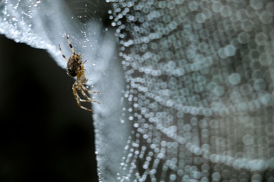 Tawuran dari Sudut Pasal 170 dan Pasal 358 Kitab Undang\u002Dundang Hukum Pidana Image