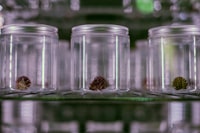 Basic Features Of Advertising Language Image