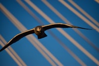 Bagaimanakah Profil Individu yang Memanfaatkan Perbankan Digital di Indonesia? Image