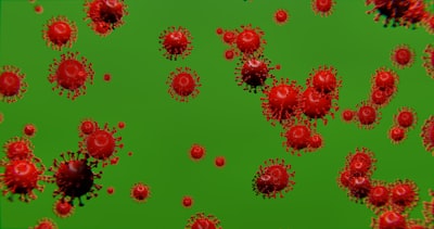 Partisipasi Masyarakat dalam Pemilihan Kepala Desa di Desa Mamuya Kecamatan Galela Kabupaten Halamahera Utara Tahun 20101 Image