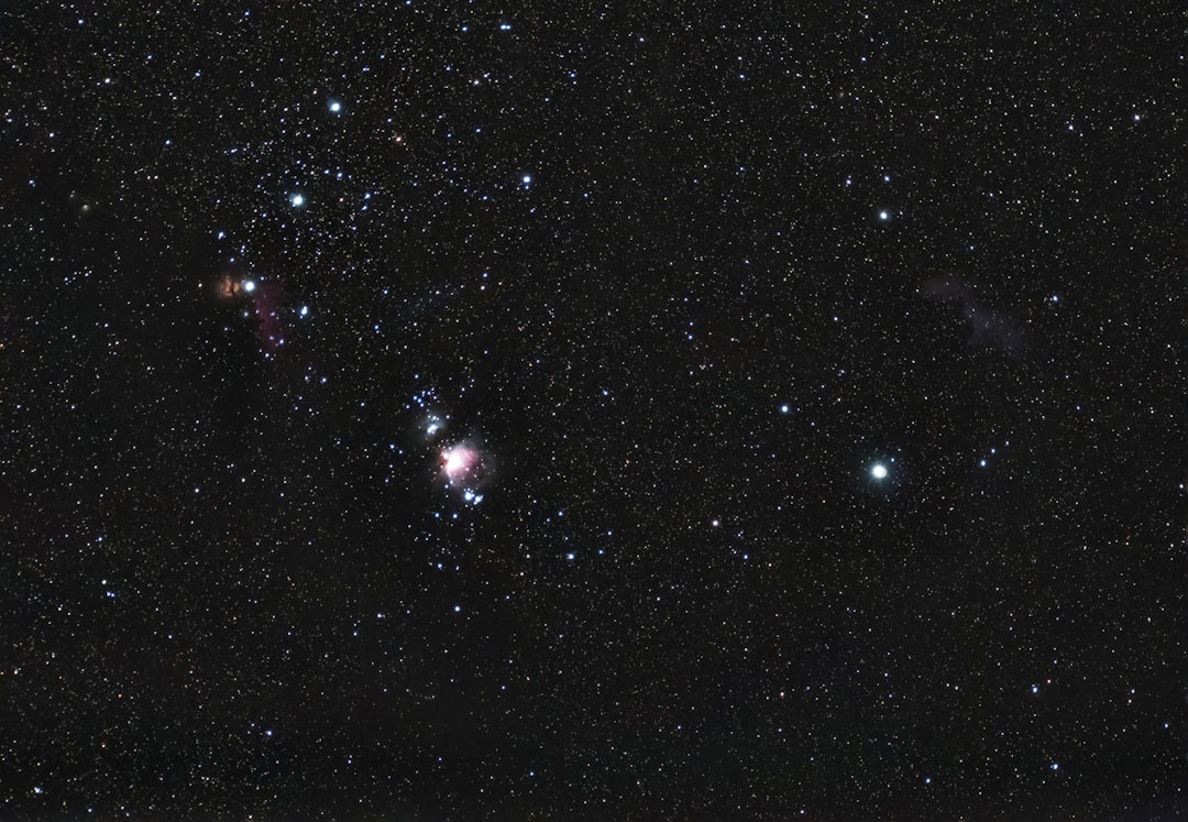 Bioekologi dan Pengendalian Pengorok Daun Liriomyza Chinensis Kato (Diptera: Agromyzidae) pada Bawang Merah Image