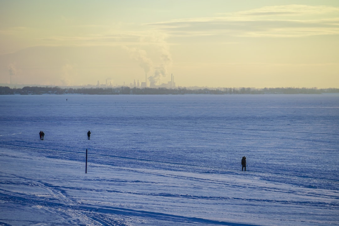 Penanganan Ulang Biji Kakao Kering melalui Fermentasi Menggunakan Fermentor Tipe Rotary Drum Image