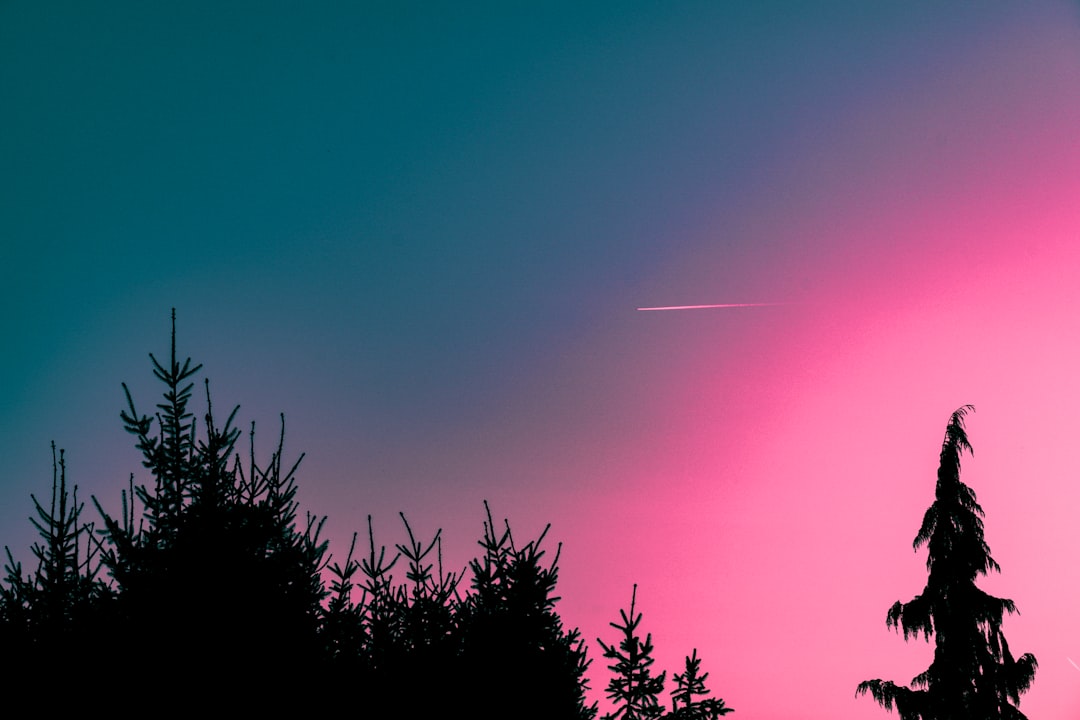 Pemanfaatan Remitan Tenaga Kerja Wanita untuk Pendidikan Anak di Desa Jangkaran, Kecamatan Temon, Kabupaten Kulon Progo Image