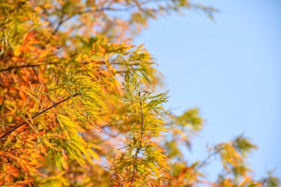 Proyeksi Penduduk Indonesia 2005\u002D2025 Image