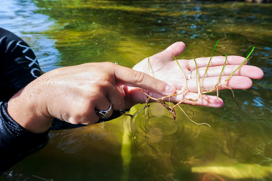 De Verre Lumiere: Produk Kreativitas dari Botol \u0026 Gelas Kaca Bekas Image