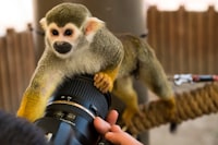 Pencatatan Pernikahan dan Akta Nikah sebagai Legalitas Pernikahan Menurut Kompilasi Hukum Islam Image