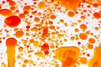 Pengaruh Pendapatan Asli Daerah dan Belanja Modal terhadap Kinerja Keuangan Pemerintah Daerah Image